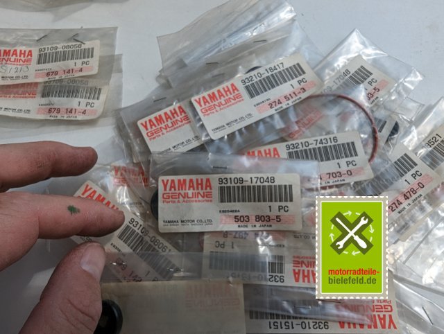 PXL_20240523_103251929